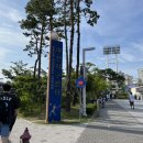 스포츠파크 야구장 | NC파크 마산야구장 직관후기 원정응원단 교통편(feat.마산역 마산고속버스터미널)