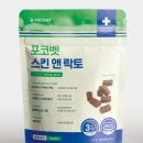 람파스동물병원 이미지