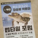 아이피알포럼(주) | [부산 벡스코 렙타일 포럼(파충류 박람회) 후기] 구경만 하려 했는데 결국 가족이 생겼어요.