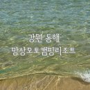 기곡2 | 망상오토캠핑리조트 | 바다 앞 캠핑 리조트 이용 및 기곡해수욕장 후기!