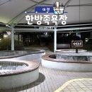 유성온천 | 대전 무료 가볼만한곳｜유성온천 한방족욕장 후기