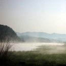 새벽이슬 이미지