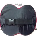 미요코리아 이미지