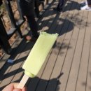 [등산 추천] 아차하는 순간 등산 완료! 용마산 아차산 코스 등산 후기