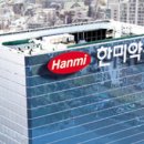 보령팜스 | 제약 R&D 주춤…한미, 반기 1000억원 육박