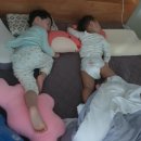 인삼닭집 - 공주시 | 인삼닭집