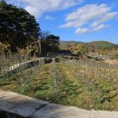 도산원탕 이미지