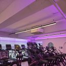 본투비짐 | 문화동에 헬스&amp;필라테스가 가능한 본투비짐 PT후기