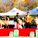 서울애견 이미지