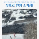 어린이 초급 영어 A | 삿포로 스키장 토마무 리조트 코스, 렌탈 리프트 비용 총정리