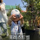 양지농장 | 포레스트벨 : 경기도 아기랑 실내가볼만한곳 포레스트벨 블루베리 농장체험 후기