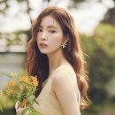 단헤어 네이버블로그