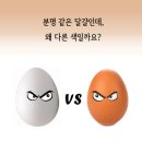 양천헬스 이미지