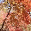 소로3-107 이미지