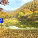 성산정 - 천안시 서북구 | 성산정
