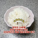 2379 | 밥맛의 신세계! 청정 지역에서 자란 2025년산 햅쌀 철원오대쌀 후기