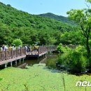 고창 선운산도립공원 무장애나눔길 조성 뉴스1