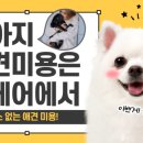 뉴케어 동물병원 이미지