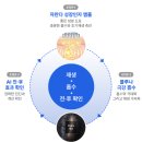MTS앰플 추천 자란다 성장인자 앰플로 집에서 탈모관리 시작한 솔직 후기