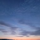 돌고래마루민박펜션 이미지