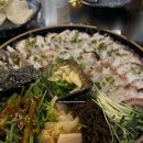 용왕 | [서울/연남] 제철 해산물 돌문어숙회 새우전 맛집 '용왕포차 홍대연남점' 내돈내산 후기