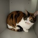 써리얼파스타바 | #40 써리얼파스타바 + 가든서비스 + bhc 치킨 + 26년 신년맞이 기록들