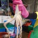 태평양상회