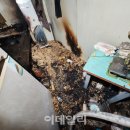 부곡수선
