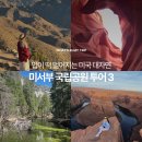 주식회사 엘정보통신 | 미서부 여행 국립공원 베스트 3ㅣ조슈아트리, 그랜드캐년, 요세미티 국립공원 특징 볼 것 투어 총정리