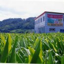 이미자농장 이미지