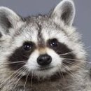 땡그랑동전노래연습장 이미지