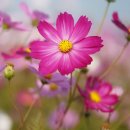 세종영재어린이집 이미지