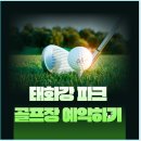 하대둔치 생활체육시설 파크골프장 | 태화강 파크골프장 예약 및 주차장.화장실 위치 커뮤니티