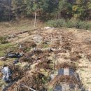 눌왕리농장 이미지