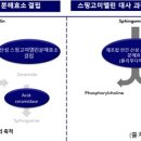 (주)사노피-아벤티스코리아 이미지