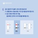 코로나19 진단 검사 방법 (부제: 전문가용 신속항원검사 vs. 자가검사키트) 이미지