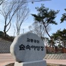 교룡공원 숲속야영장 이미지