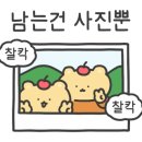 니어앤디어브런치카페 이미지