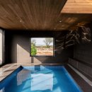 달리야드 이미지