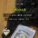 Puppy’s Needs 퍼피스니즈 후기｜저알러지 강아지간식 추천! 피쉬&amp;미트 치즈샌드·니즈 베지패티 급여리뷰