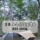 강릉 노추산 힐링캠프 | 강릉 캠핑장 ‘노추산힐링캠프’ 숲 속 캠핑장 애견동반 캠핑장