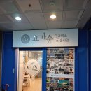작은숲요가 | 대전 관평동필라테스 요가숲 솔직후기