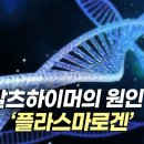 ‘알츠하이머 치료의 열쇠’: 플라스마로겐 분자의 발견(1부) [바이탈사인] 이미지