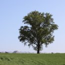 알라딘목장 이미지