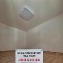늘푸른케어