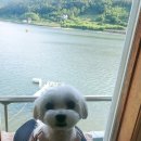 해뜨는창문 애견동반 오션뷰펜션 이미지