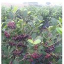 모악농장 이미지