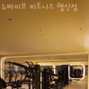 뉴바이브 피트니스 네이버블로그