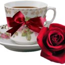 여니커피 이미지