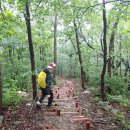 7월30일(목) 충남 보령시 (향로봉-양각산 왕복-삼각점봉-동막산) 보령 물빛공원 주차장. 이미지